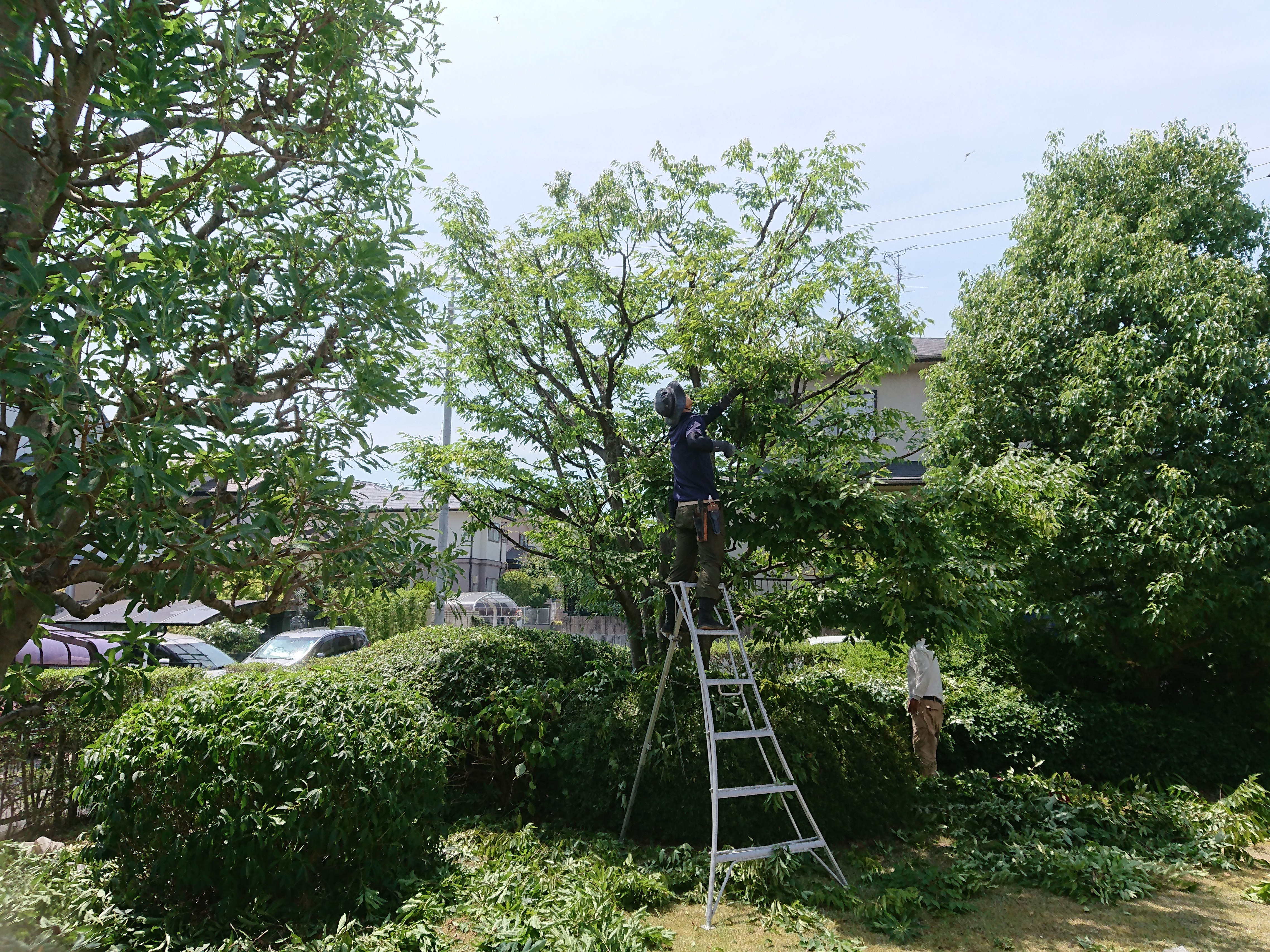 樋口庭園緑化の業務内容